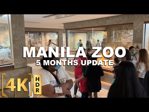 Manila Zoo Update | 5 Months After Reopening | Walking Tour | Philippines