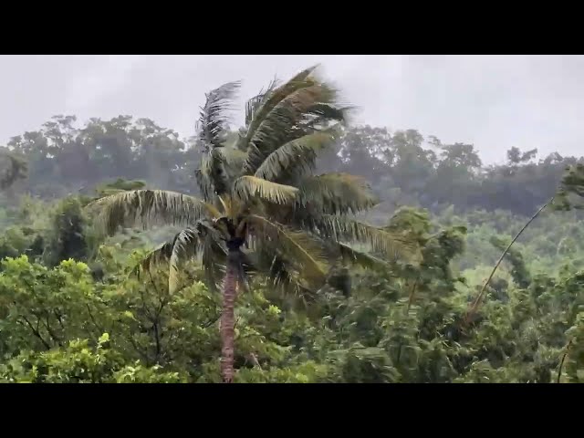 Kenting sees high winds, waves as Typhoon Podul nears