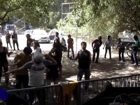 Polyphonia meets Alien Mental track by Goa Gil 2008