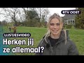 Van tienermoeder tot opgevoerde grasmaaier: dit waren onze topvideo’s 2021 | RTV Oost