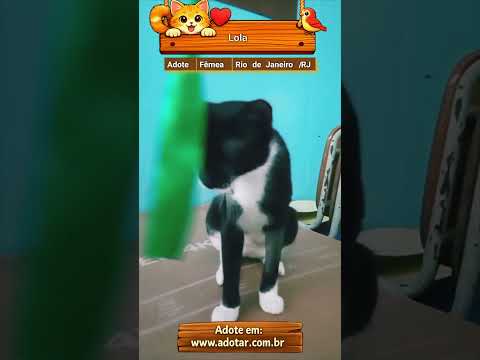 Vídeo de Lola 