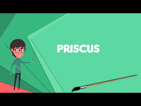What is Priscus (general)?, Explain Priscus (general), Define Priscus (general)