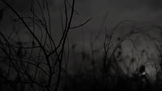 RAMA DAVIS Paling tidak, Ternyata dan Pujaanku (MASH-UP)