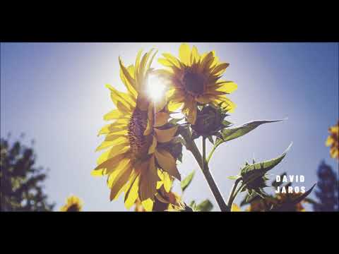 MISCH MASCH  #UNKNOWNARTIST #CLAPTONE #DAUGHTER #KLANGKARUSSEL #MANOUDEJEAN #STOILKU