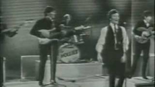 The Hollies - Too Much Monkey Business