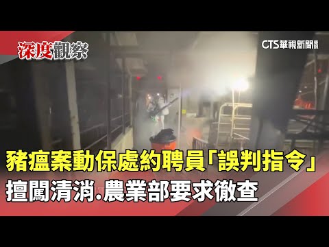 豬瘟案動保處約聘員「誤判指令」擅闖清消　農業部要求徹查