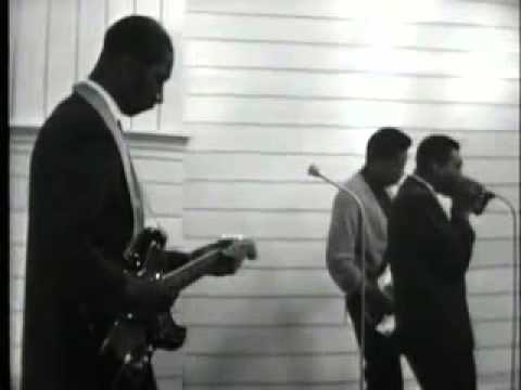 Thumbnail for Hound Dog Taylor & Little Walter - Wild About You Baby by Hound Dog Taylor