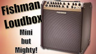 Fishman Loudbox Performer Review
