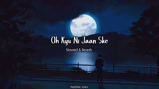 Oh Kyu Ni Jaan Ske  | Slowed &amp; Reverb | Ninja | Aeathetic Lyrics