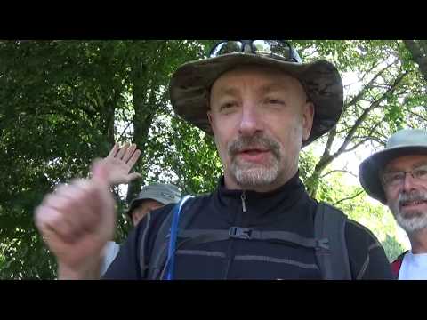 The North Downs Way: Day 9 Wye to Canterbury, part 1.