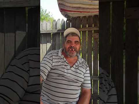 Miniutu de la crusov