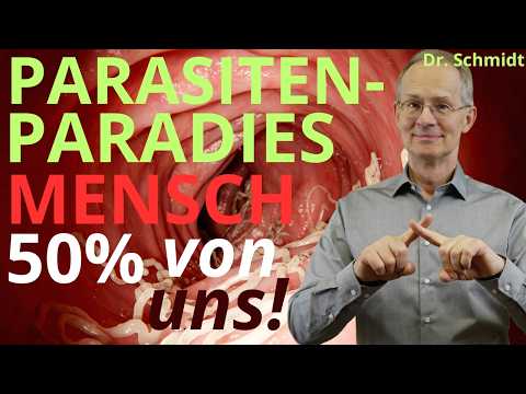 Parasiten Paradies Mensch. Risiko, Diagnose und Therapie von Parasiten-Erkrankungen.