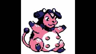 【part064】続・はじめてのポケモン（ポケットモンスター金実況プレイ）