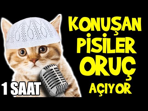 KONUŞAN PİSİLER ORUÇ AÇIYOR - 1 SAAT