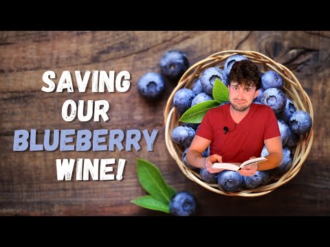 Blueberry Wine (Part 2) | Fixing a Stuck Fermentation, Explained