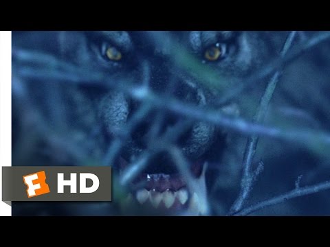 Van Helsing (1/10) Movie CLIP - Werewolf on the Loose (2004)