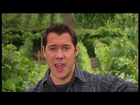 Benjamin Grund - Weil mein Herz die Liebe fand 2008