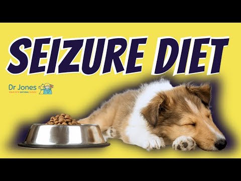 Dog Seizure Diet