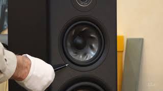 Polk audio Reserve R700 Black - відео 3