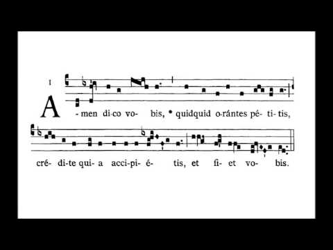 Dominica XXIII. post Pentecosten - COMMUNIO - Amen dico vobis