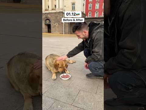 01.12🇧🇬Before & After🐾