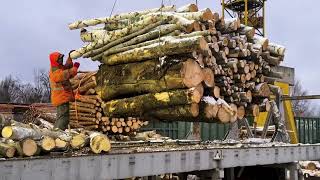 Mega Mesmerizing Wood Destruction In The Fresh Air