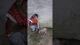 Download lagu Great Video of SokYaa,ToTo , Phao And Sokhaa are HARMONY And Fun Will MAKE YOU SMILE mp3 Download lagu Great Video of SokYaa,ToTo , Phao And Sokhaa are HARMONY And Fun Will MAKE YOU SMILE mp3