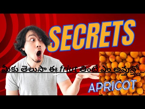 Apricot uses| Apricot fruit| blood improves|heart|health tips| healthy fruits|skin glowing|cancer|