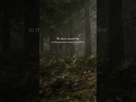 A Glimpse into Druidry.