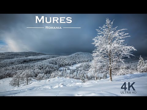 Winter Nature Relaxing 4K_Mures
