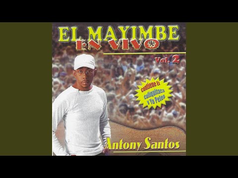 Si Volvieras (En Vivo)