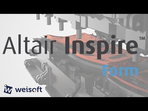 Altair Inspire Form Overview