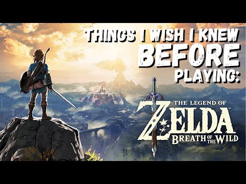 Zelda Breath of the Wild Beginner Tips