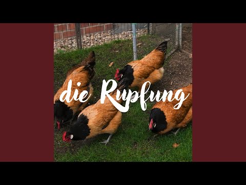 Die Rupfung