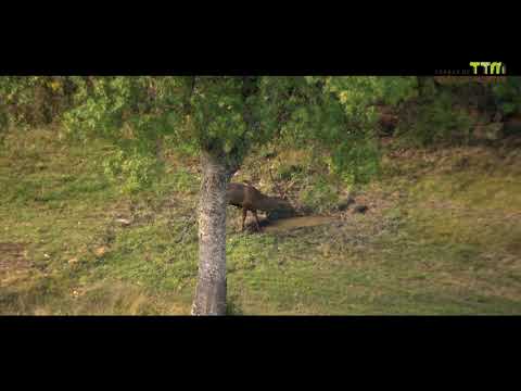 Visite as Terras de Trás-os-Montes