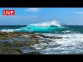 24 7 Relaxing Music Ocean Waves Seagulls Healing Sleep Music Stress Relief Spa Relax