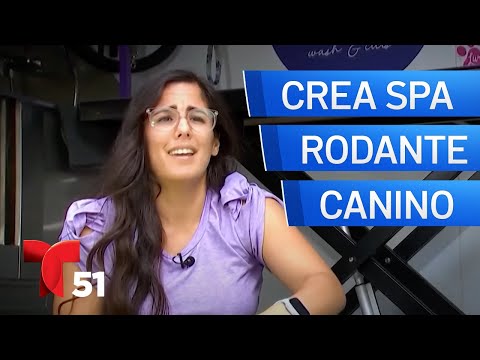 Hispana crea exitoso spa rodante para perros | Cuéntale a Marilys