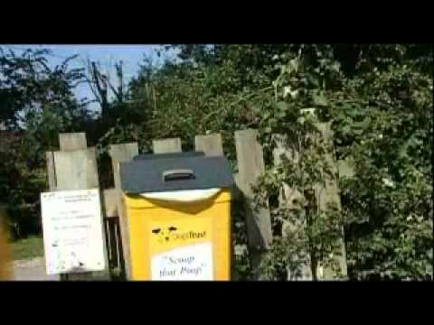 Sarah Jane Honeywell: Dogs Trust