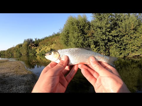 Spinning la clean pe Jiu (2)