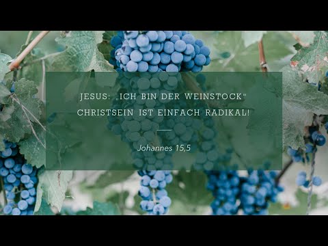 “Ich bin der Weinstock” Christsein ist einfach radikal! // Dr. Heinrich Derksen
