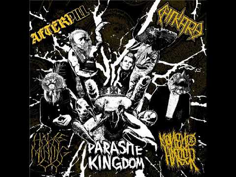 Afterpill / Chikara / Money Hater / Hades Mining Co. - Parasite Kingdom Split [2018]