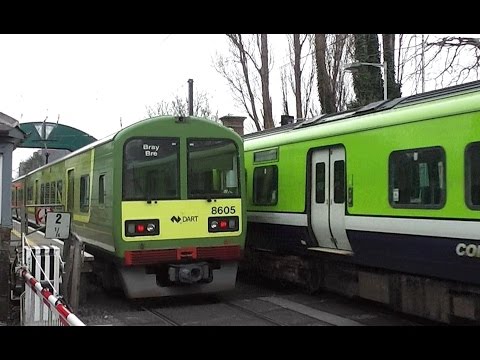 IE 29000 Commuter + 8500 Class Dart Trains - Sydney Parade Level Crossing