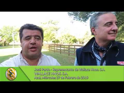 27-02-19 - Juan Wallace - José Pardo - Wallace Hnos. S.A. - Azul