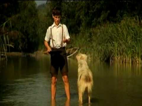 Trailer-Vorschau: Toni Goldwascher