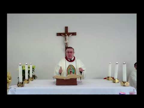 Homilía 12 de Diciembre | Virgen de Guadalupe | P. Antonio F. Rodríguez, LC