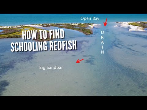 How To Find Schooling Redfish - FAST!