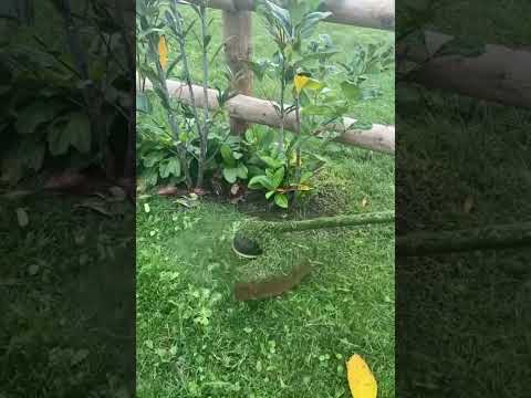 Slow motion with Stihl FS 460C #stihl