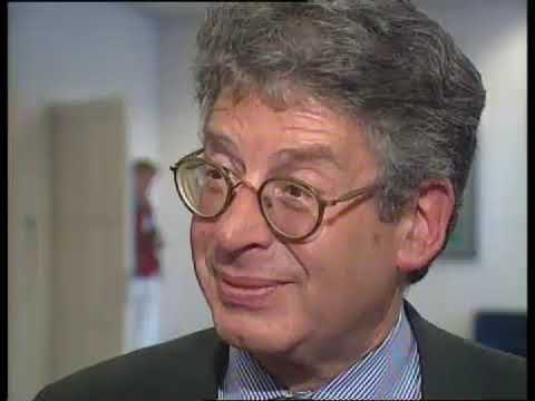 Aftreden minister Hirsch Ballin en Van Thijn (1994)