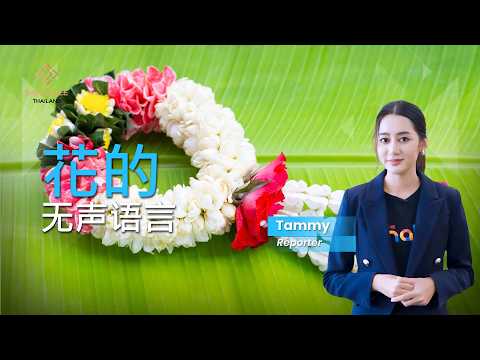 花的无声语言