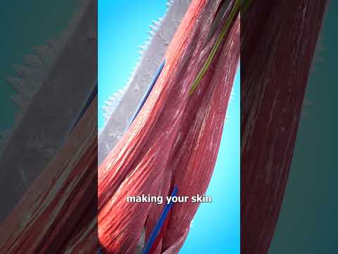 Falling Into Liquid Nitrogen 😮 (would you survive?)